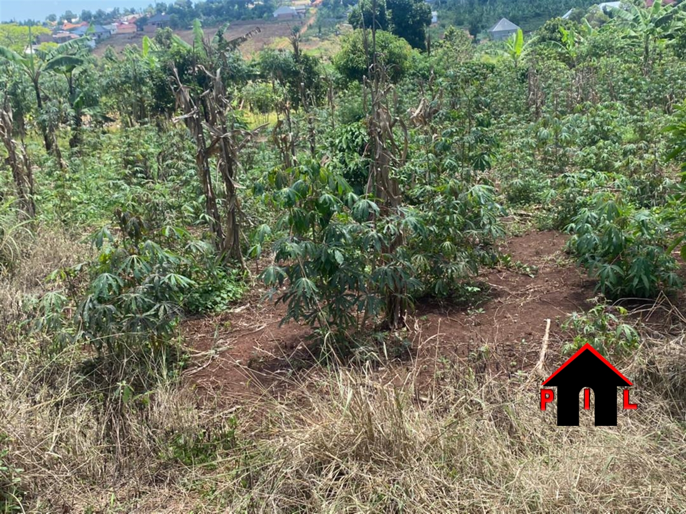 Commercial Land for sale in Muyenje Wakiso