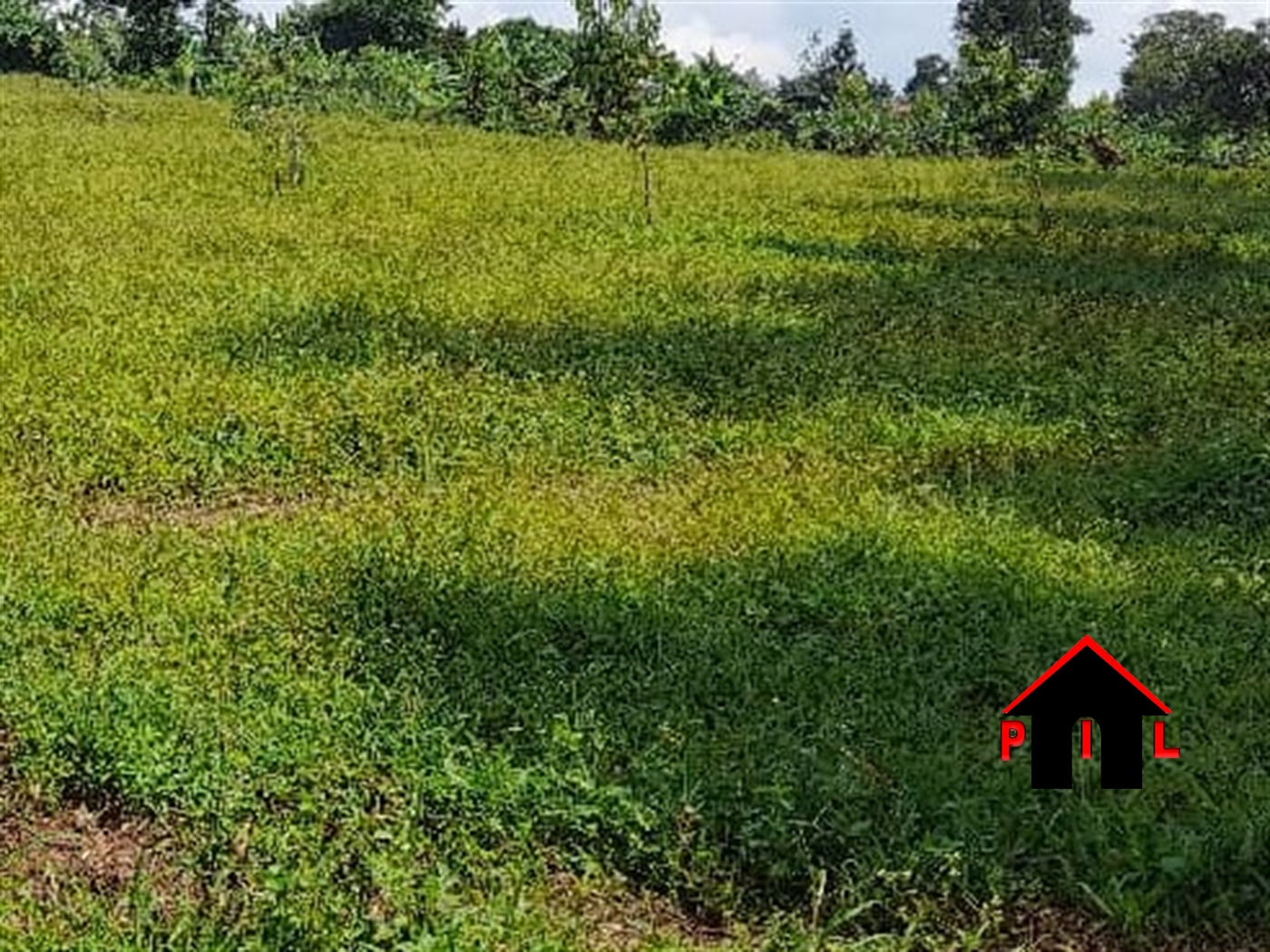 Residential Land for sale in Kakiri Wakiso