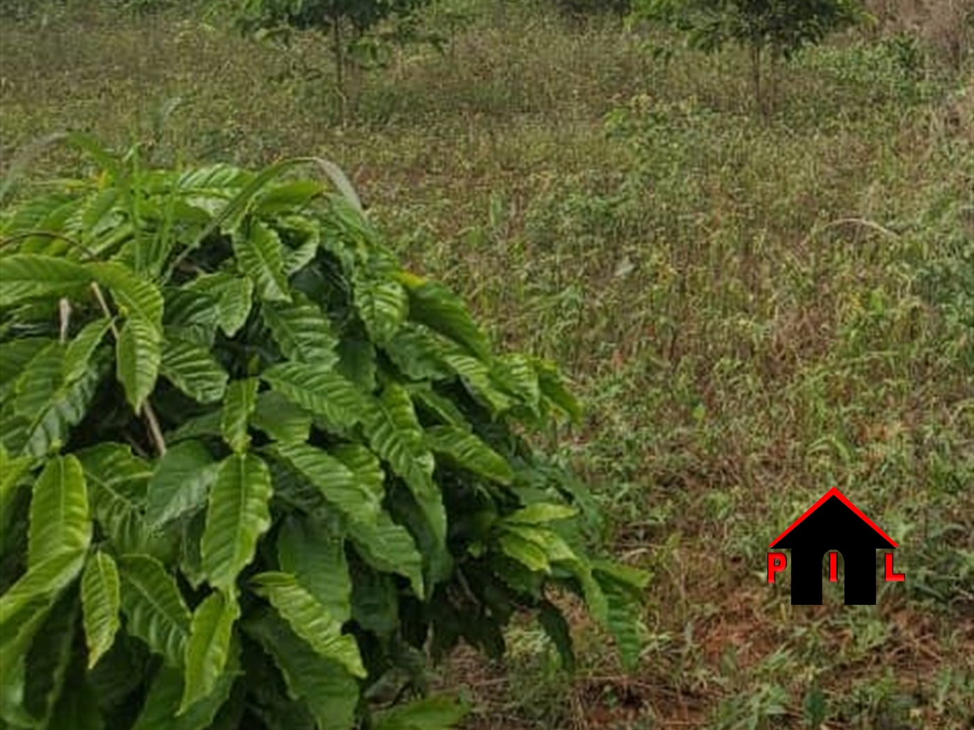 Residential Land for sale in Bujuuko Wakiso