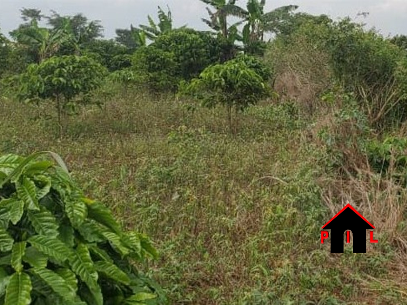 Residential Land for sale in Bujuuko Wakiso