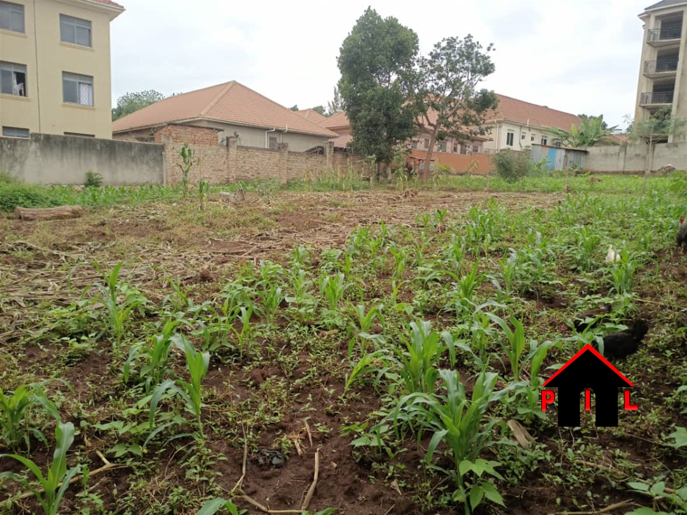 Residential Land for sale in Kyanja Kampala