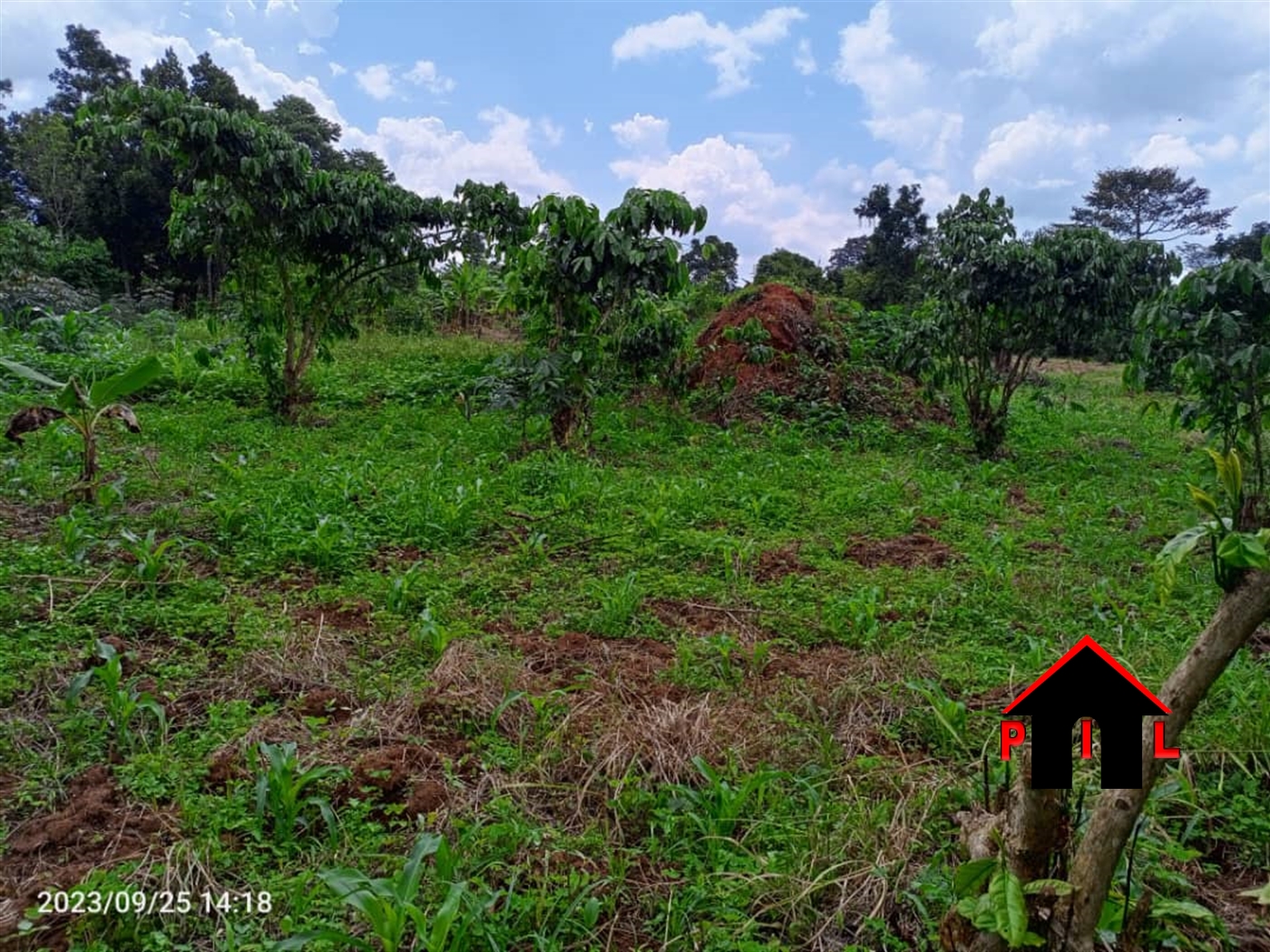 Commercial Land for sale in Namasumbi Mukono