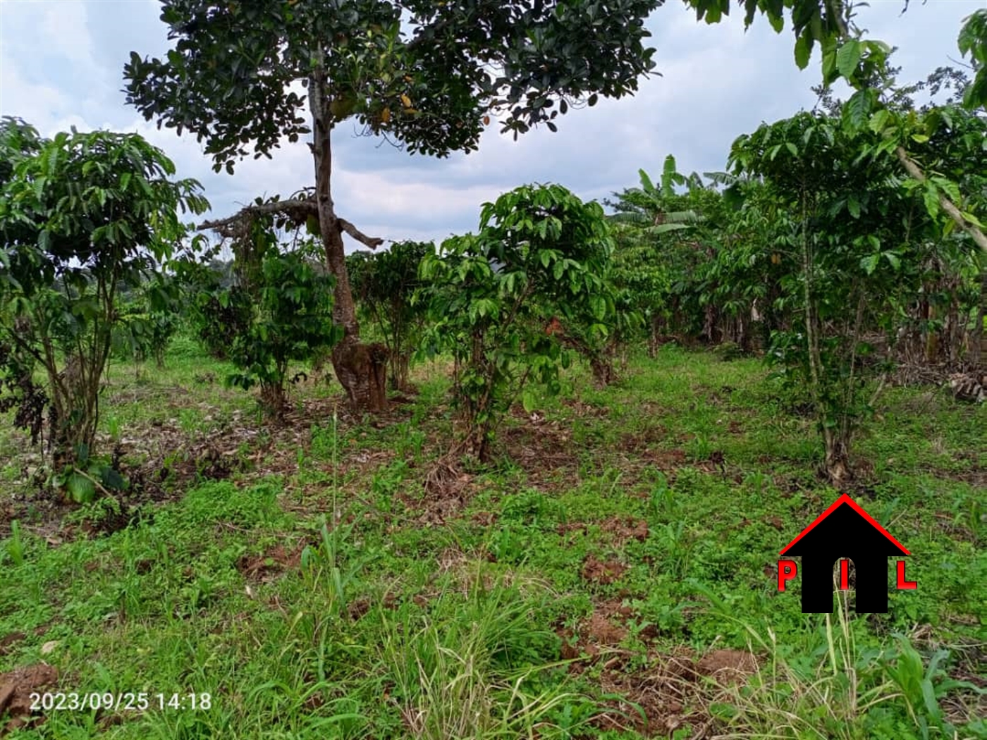 Residential Land for sale in Mpooma Mukono