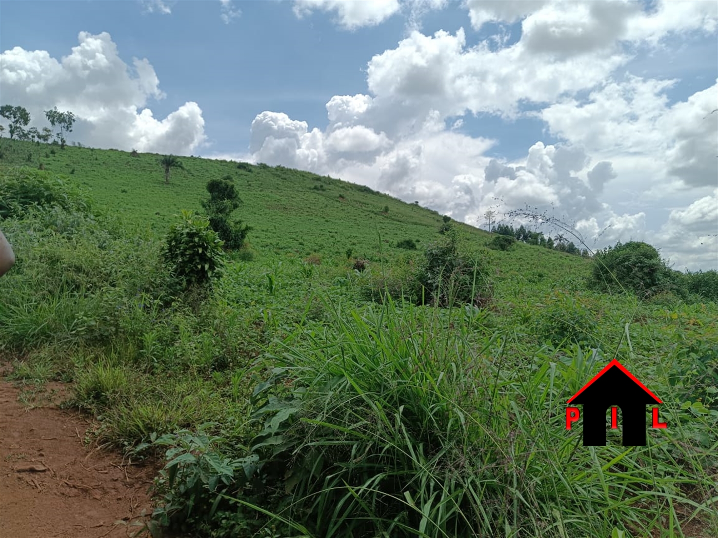 Residential Land for sale in Jago Wakiso
