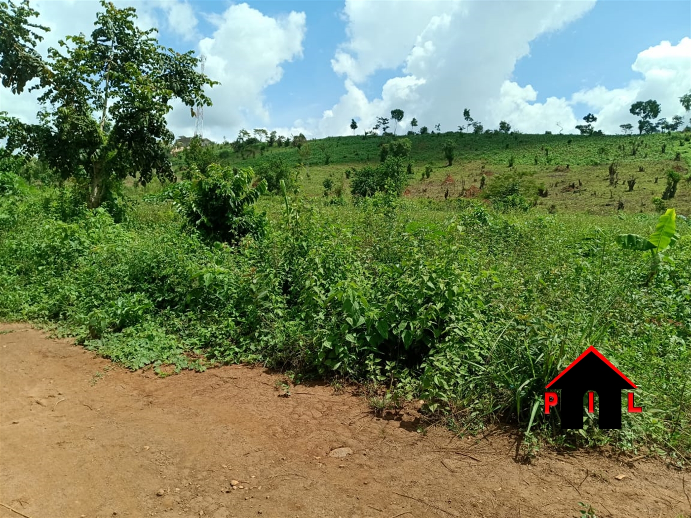 Residential Land for sale in Nakisunga Mukono