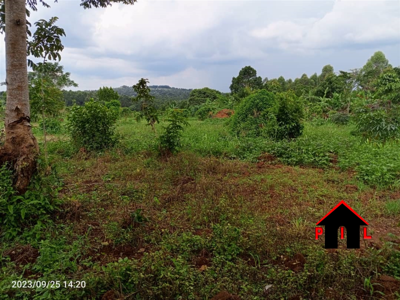 Residential Land for sale in Namugongo Wakiso