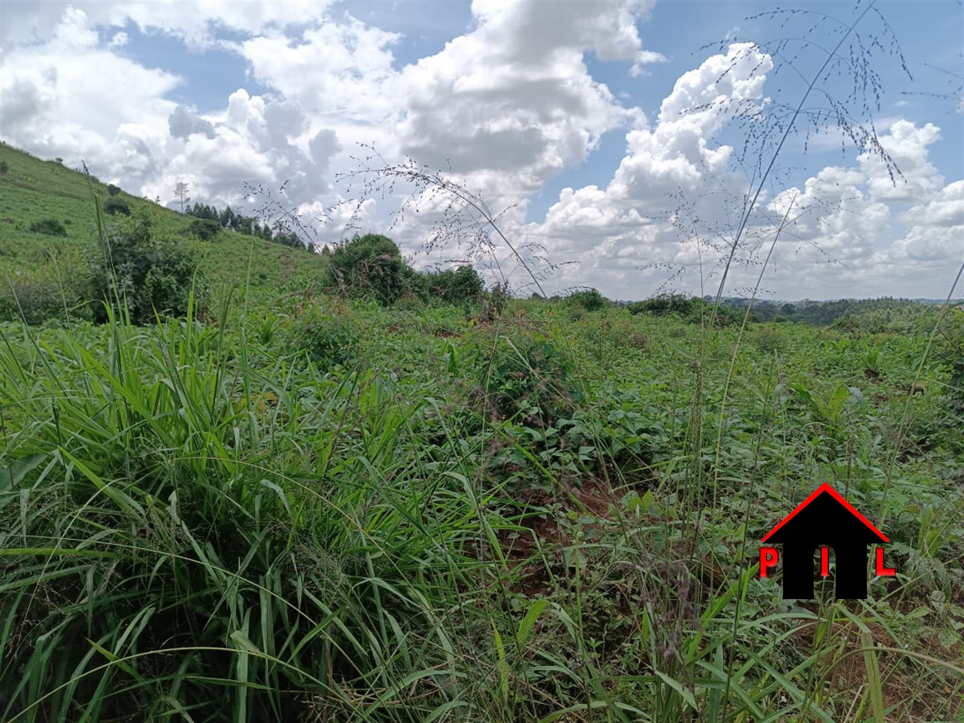 Residential Land for sale in Namugongo Wakiso