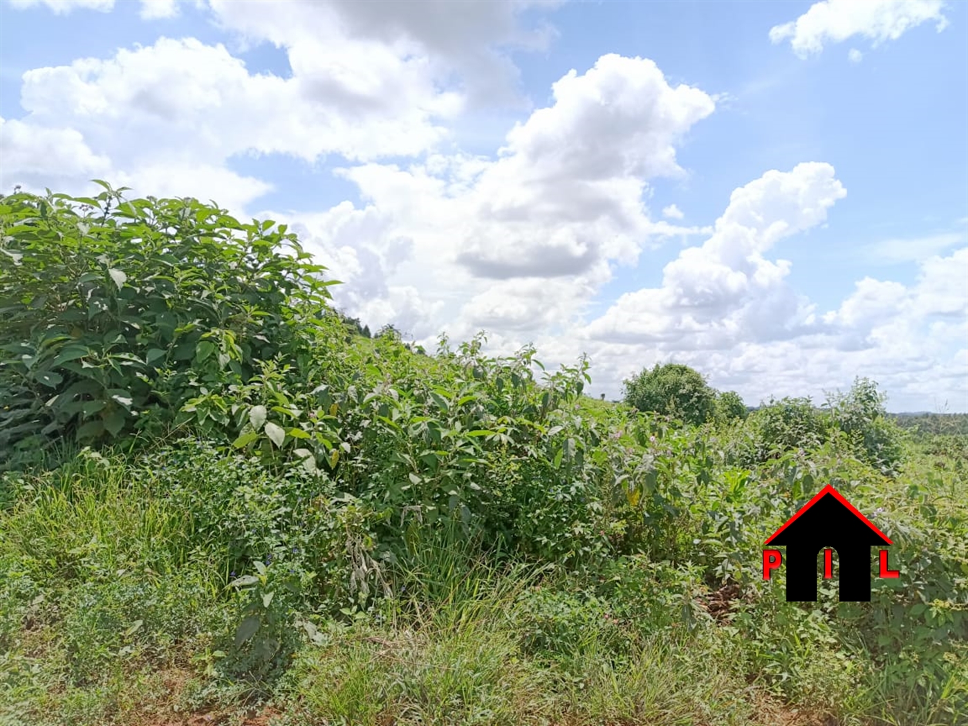 Agricultural Land for sale in Kiwenda Wakiso