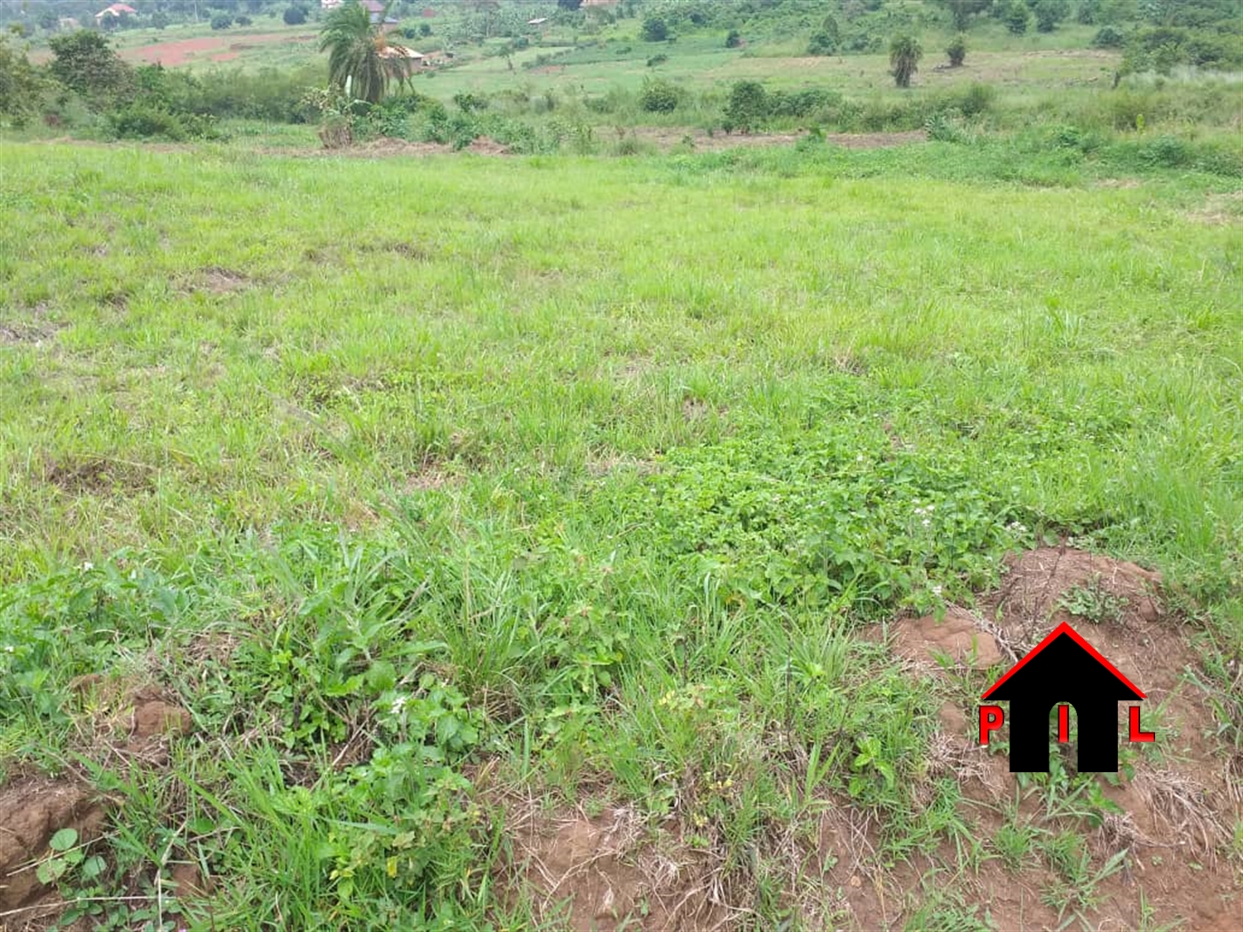 Residential Land for sale in Nkumba Wakiso