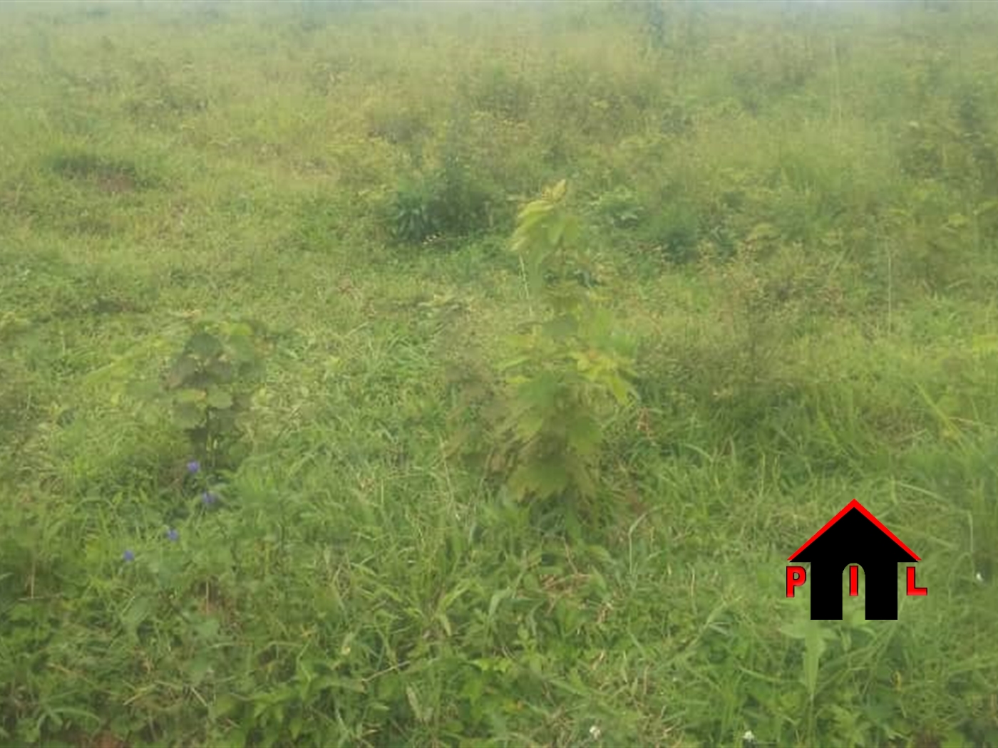 Residential Land for sale in Kawuku Wakiso