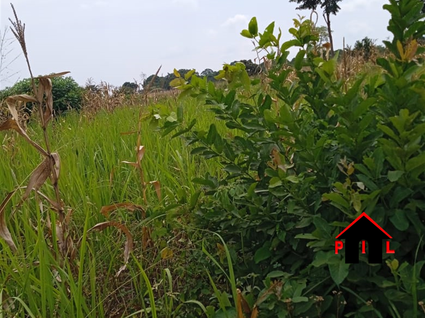 Residential Land for sale in Kitende Wakiso