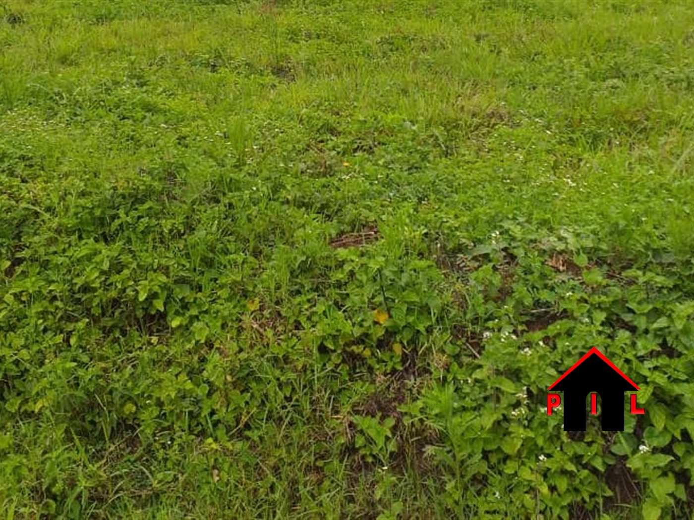 Residential Land for sale in Kitende Wakiso