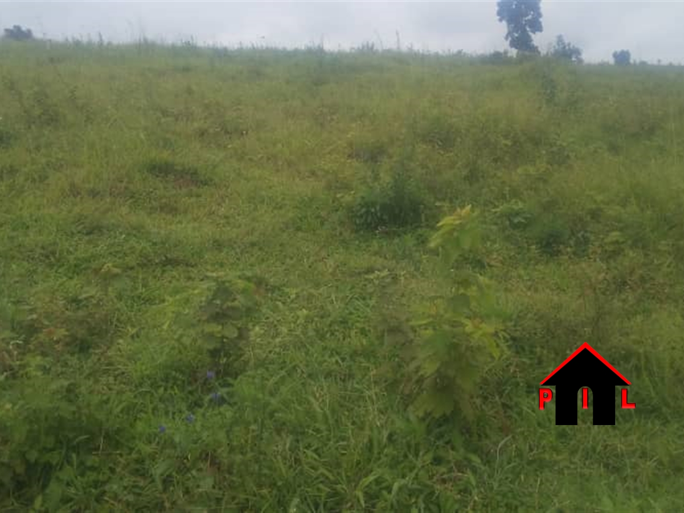 Residential Land for sale in Kisoga Mukono