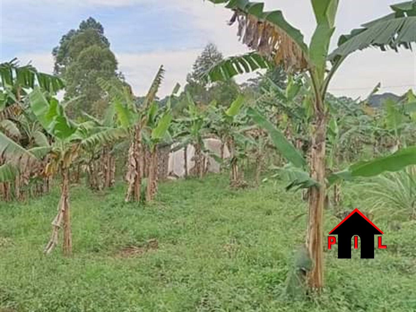 Commercial Land for sale in Sonde Wakiso