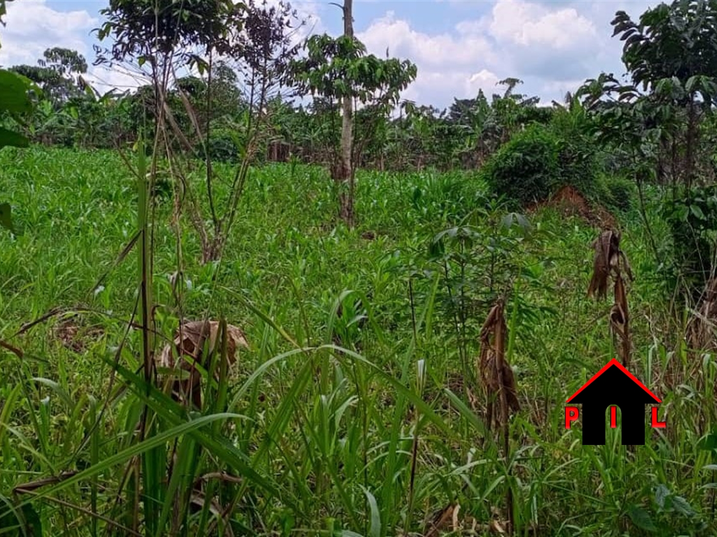 Residential Land for sale in Kisoga Mukono