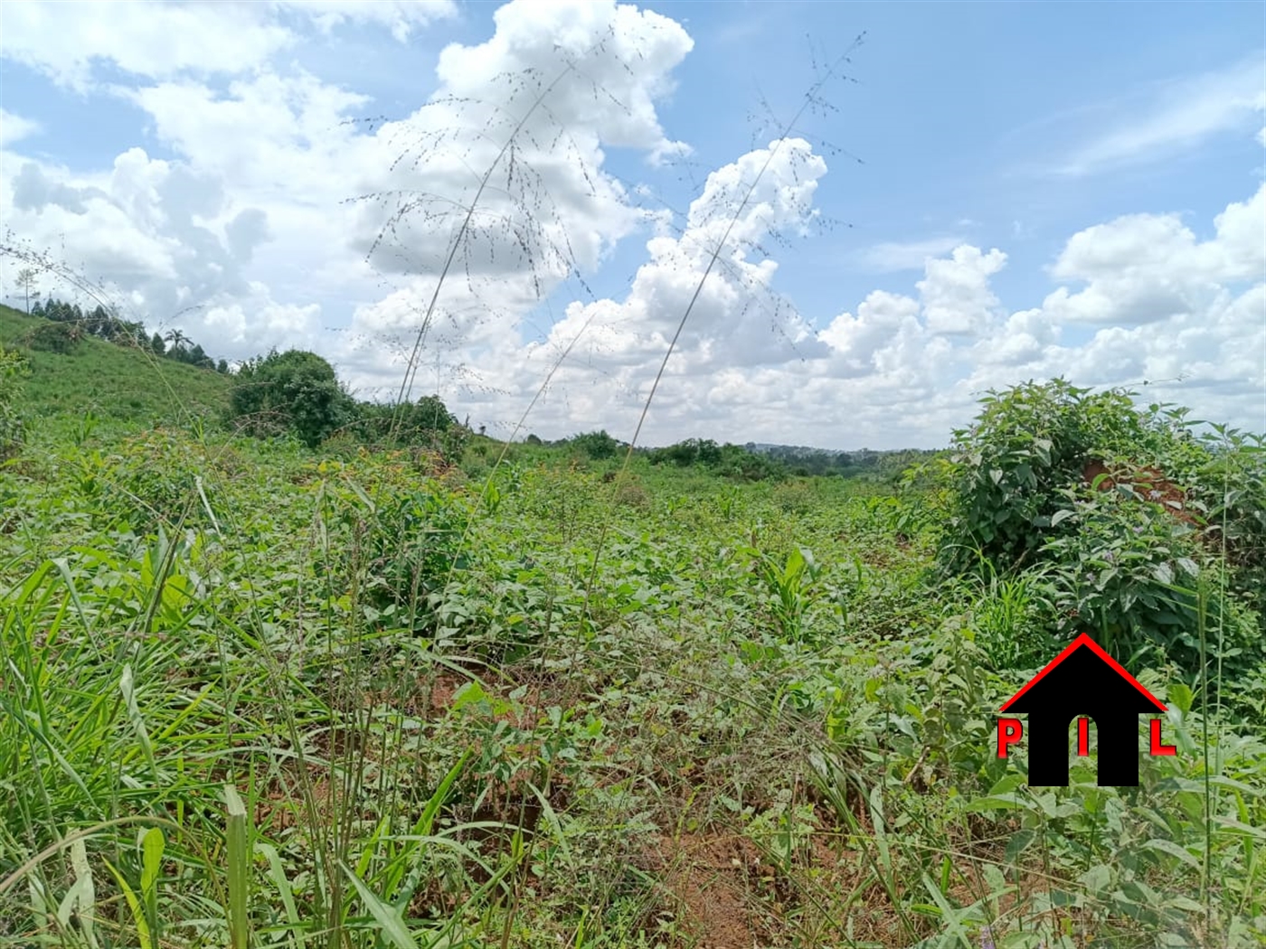 Residential Land for sale in Kisoga Mukono