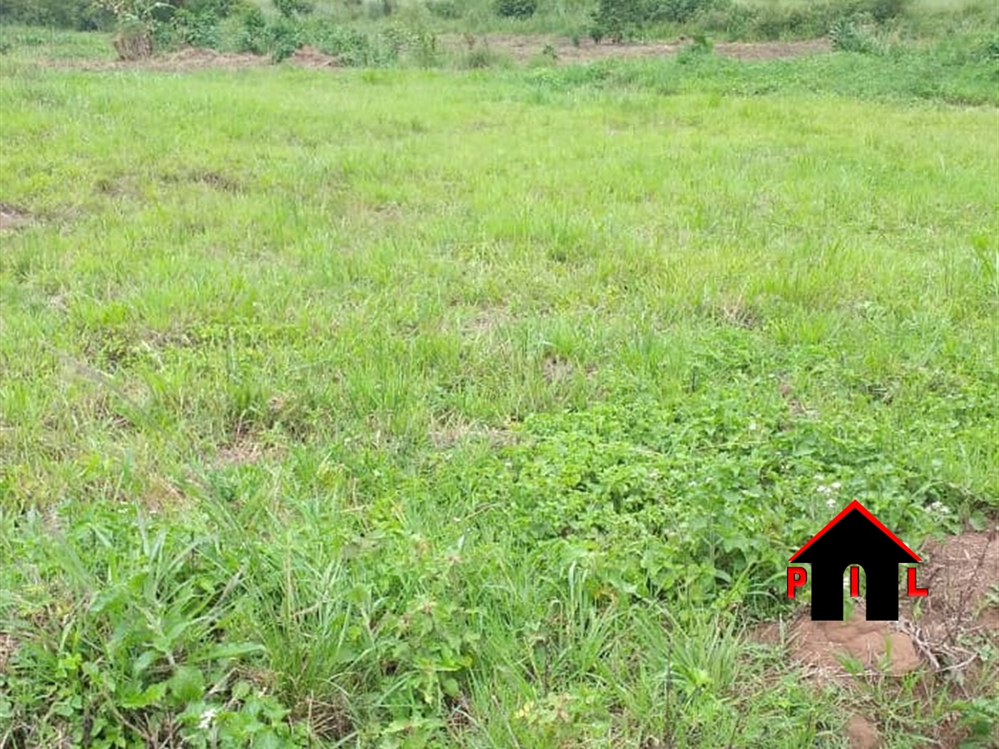 Commercial Land for sale in Kiwenda Wakiso