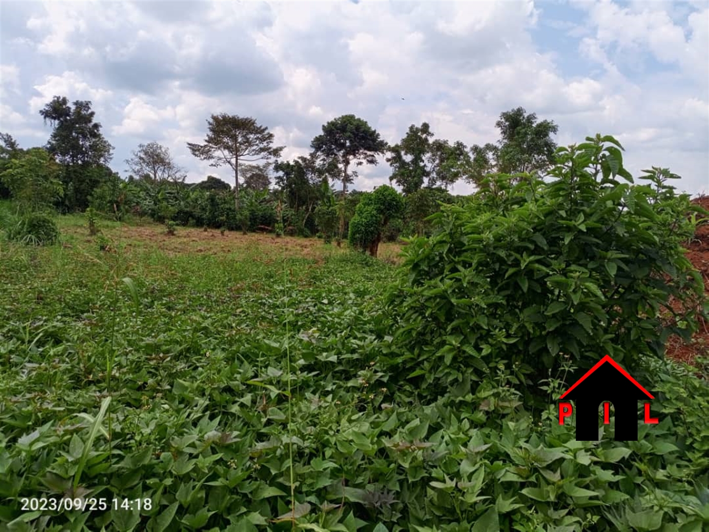 Commercial Land for sale in Rwishiru Mbarara