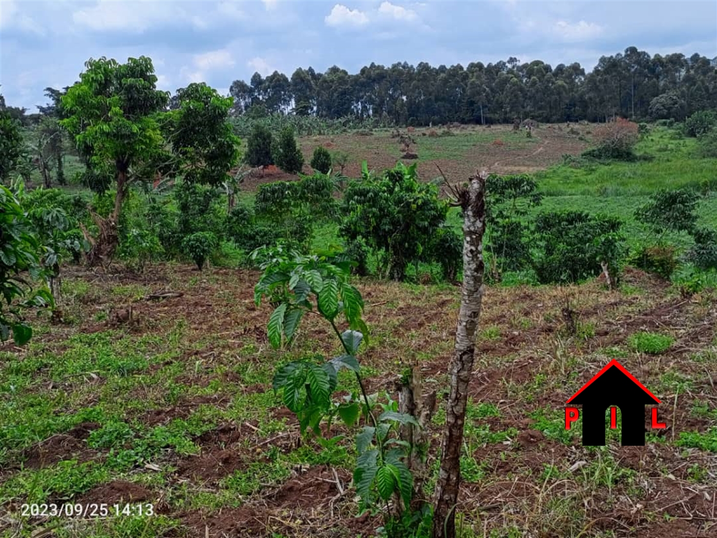 Commercial Land for sale in Rwishiru Mbarara