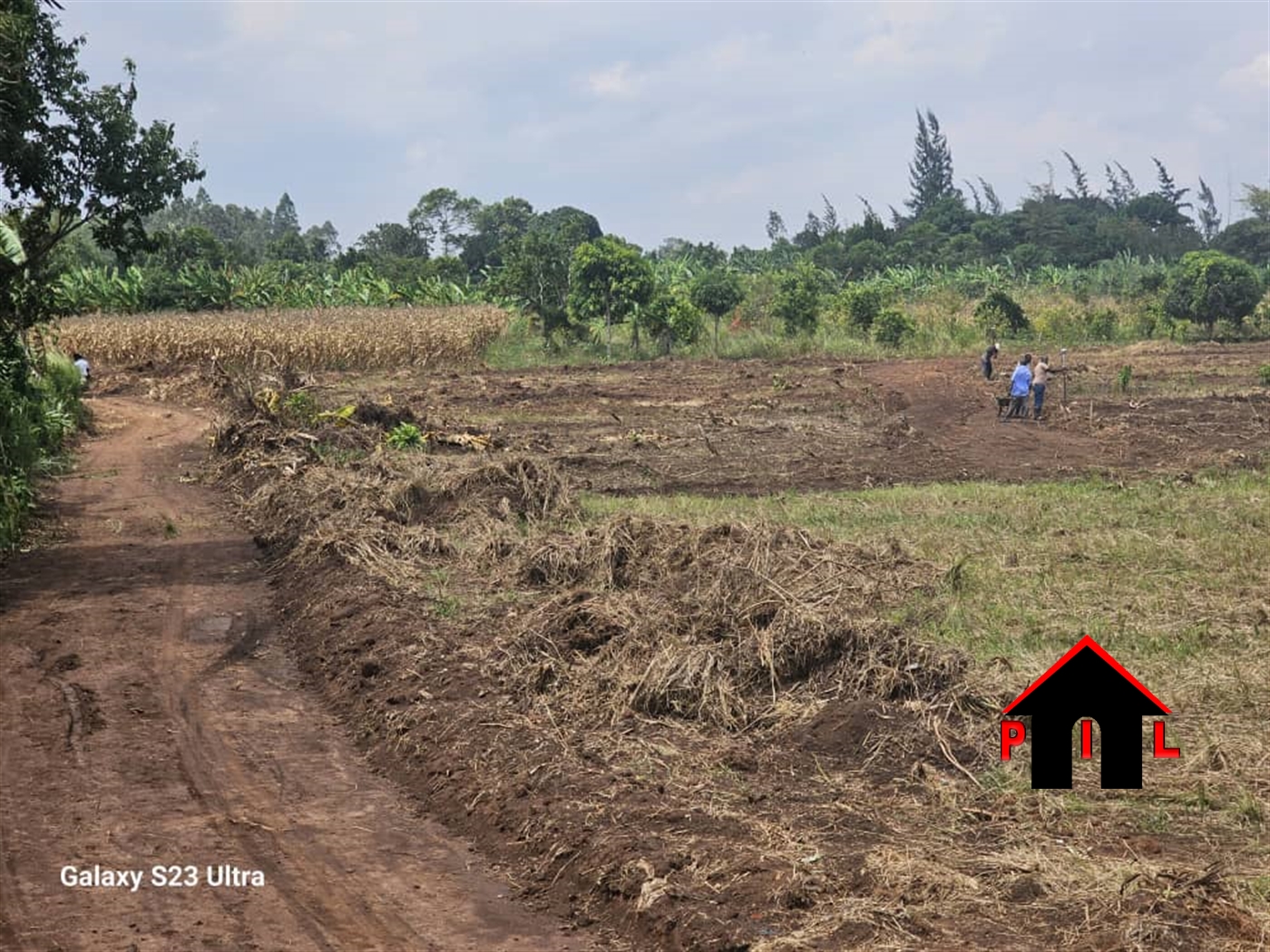 Agricultural Land for sale in Busiika Luweero