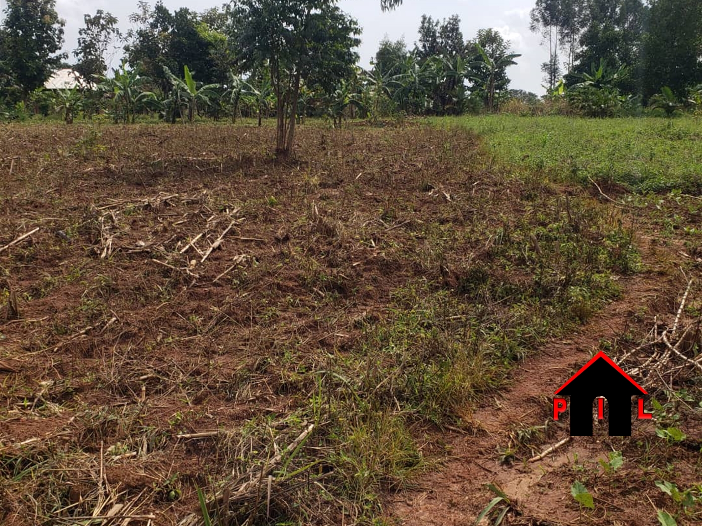 Commercial Land for sale in Kasayi Mukono