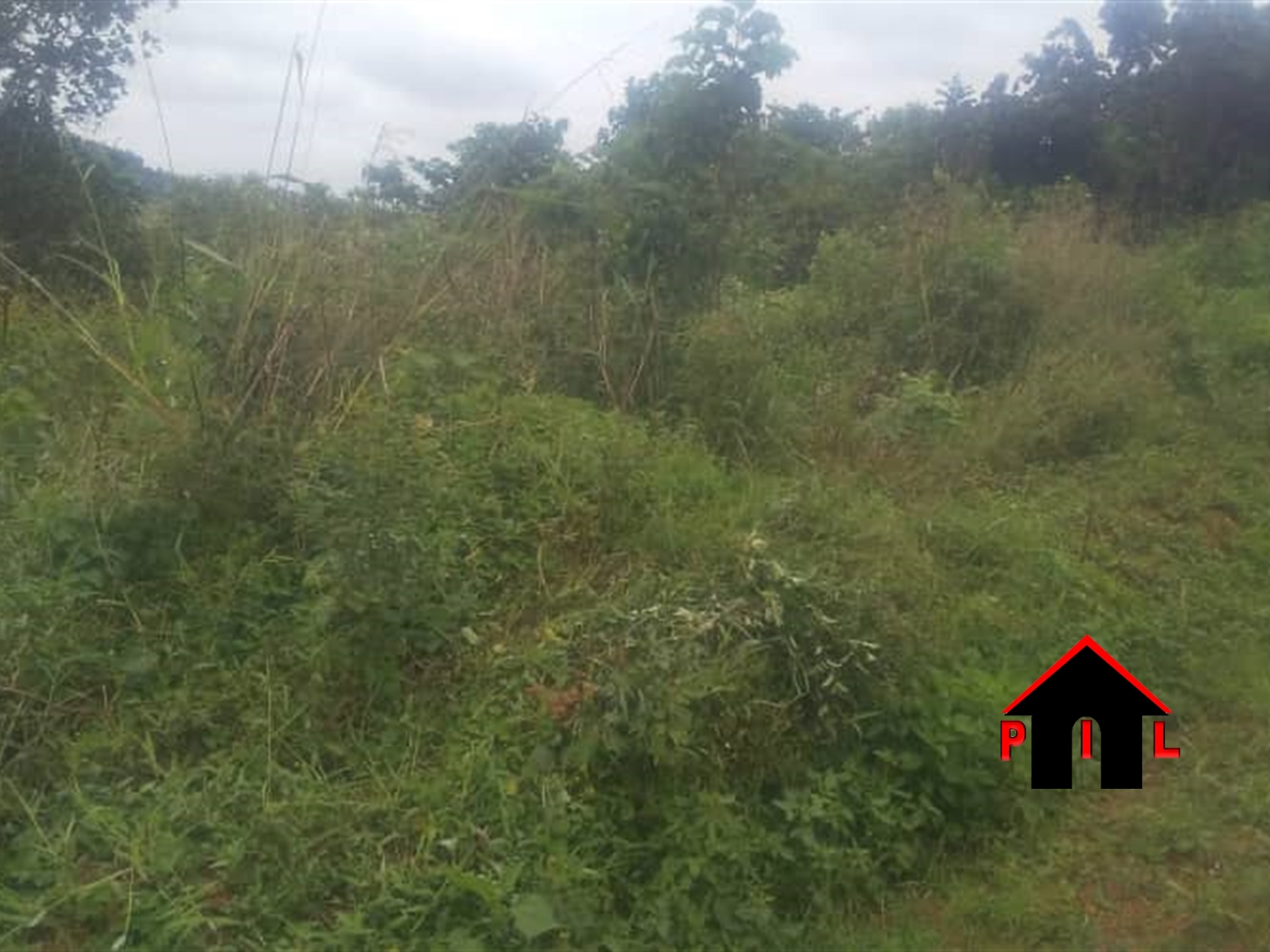 Commercial Land for sale in Bajjo Mukono