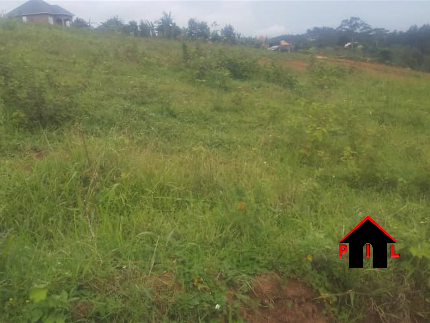 Commercial Land for sale in Bajjo Mukono