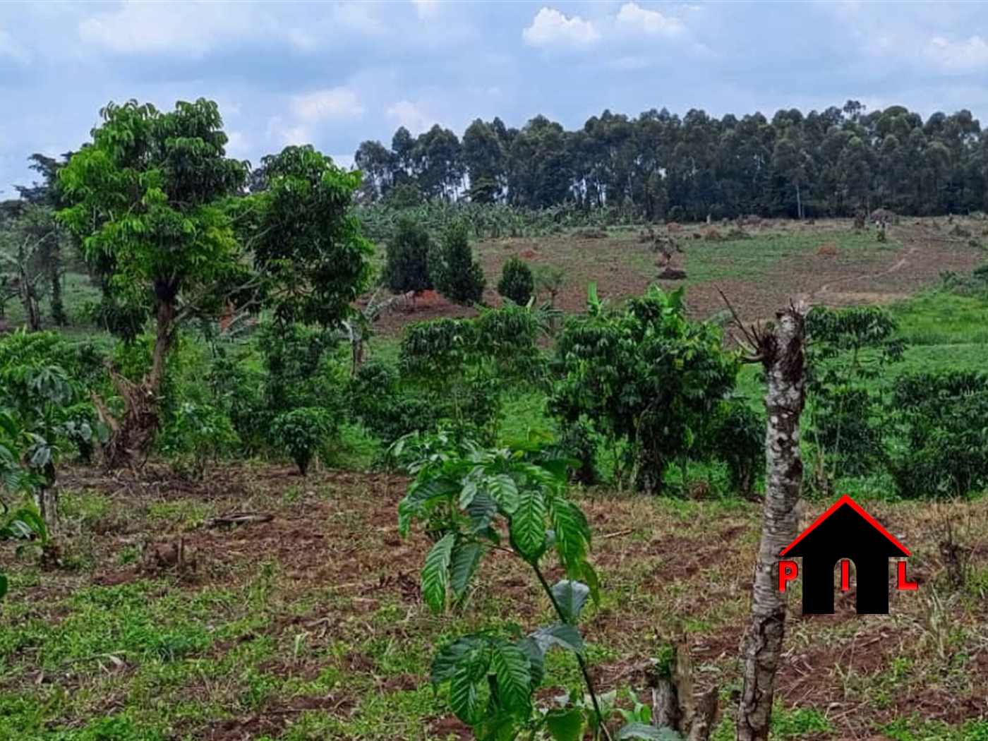 Residential Land for sale in Mpoma Mukono