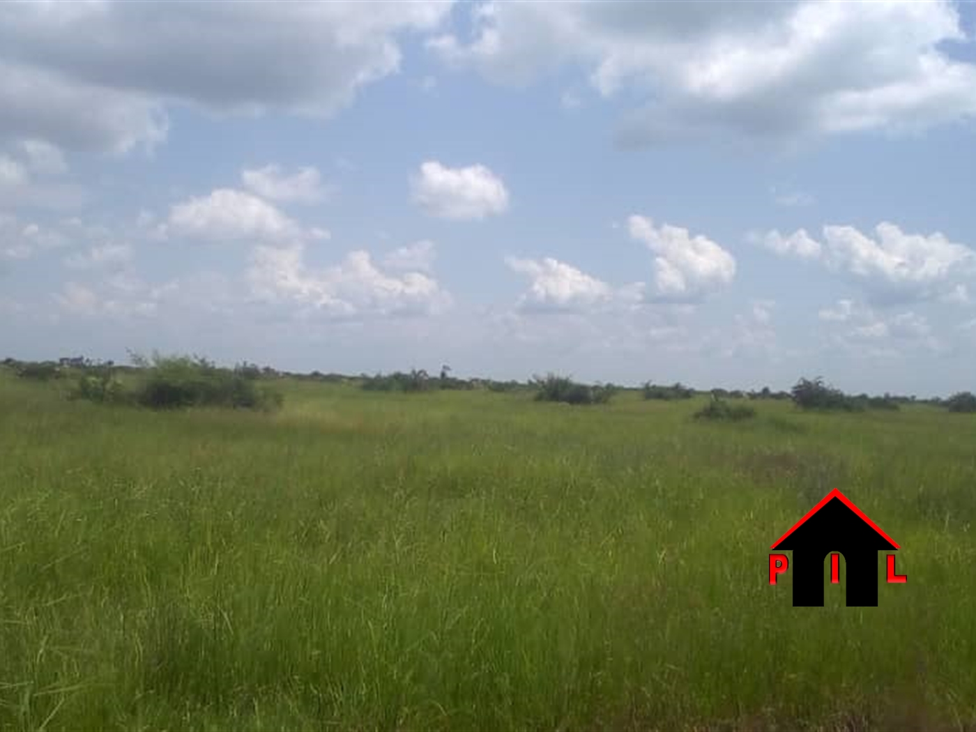 Agricultural Land for sale in Kalasa Luweero