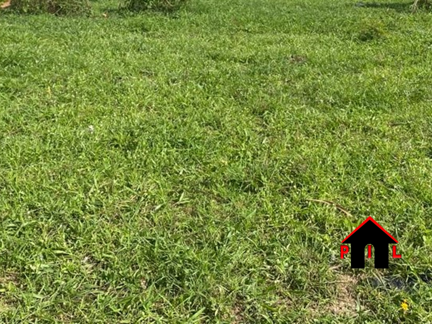 Commercial Land for sale in Biharwe Mbarara