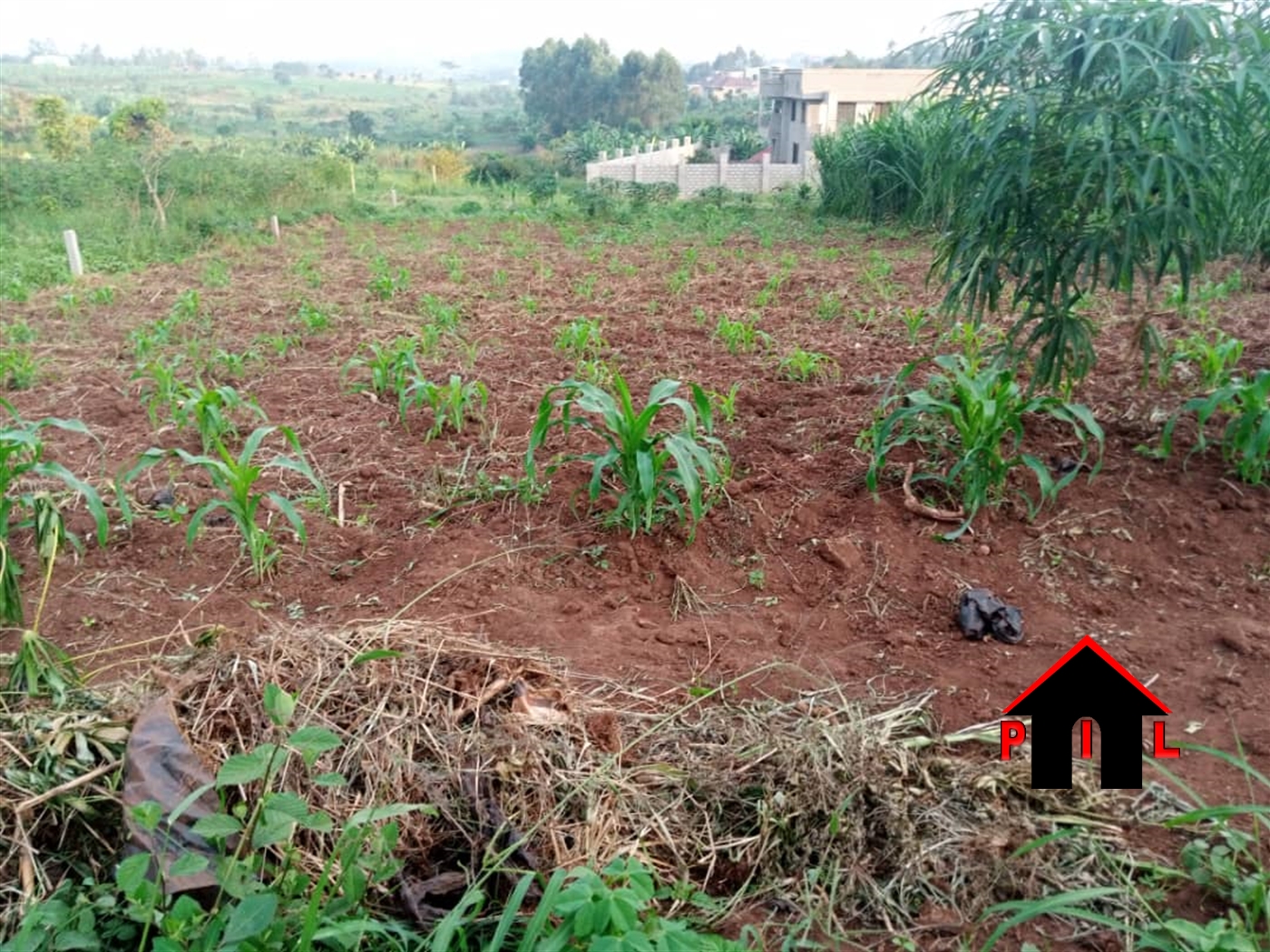 Residential Land for sale in Kyetume Mukono