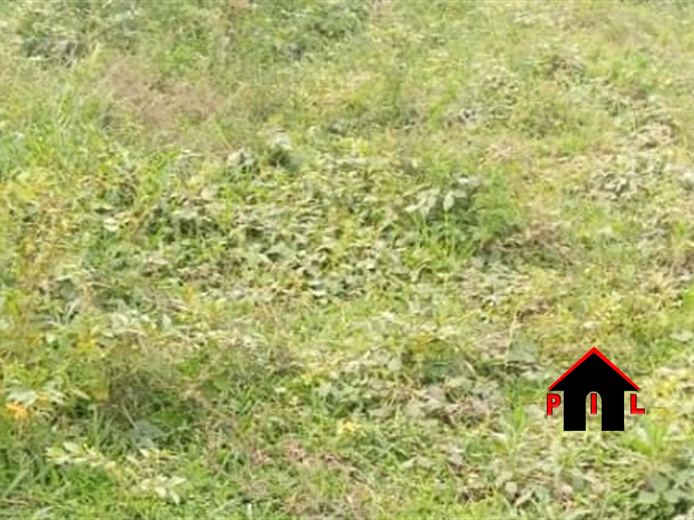 Agricultural Land for sale in Kyambuga Mbarara