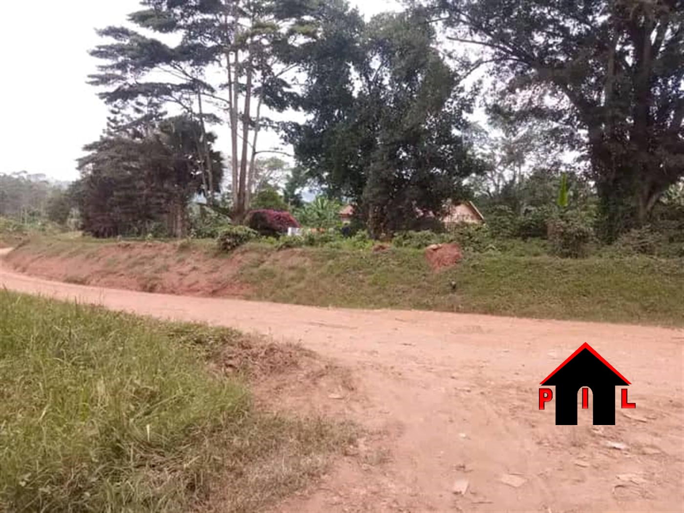 Agricultural Land for sale in Kapeeka Nakaseke