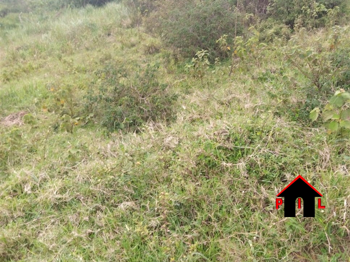 Residential Land for sale in Kisowela Mukono