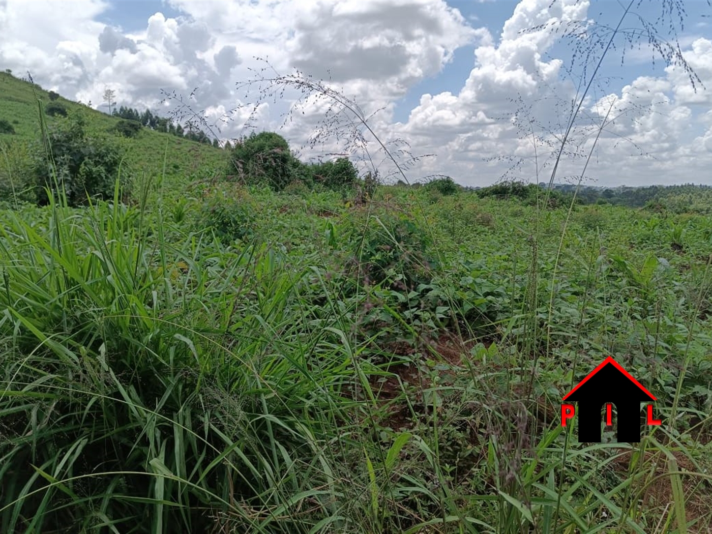 Residential Land for sale in Wampeewo Wakiso