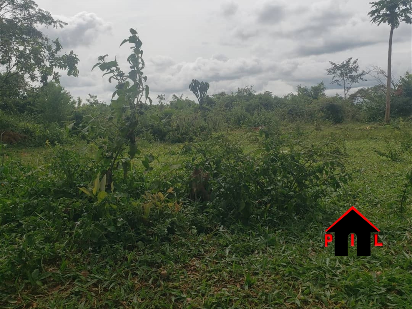 Commercial Land for sale in Rwishiru Mbarara