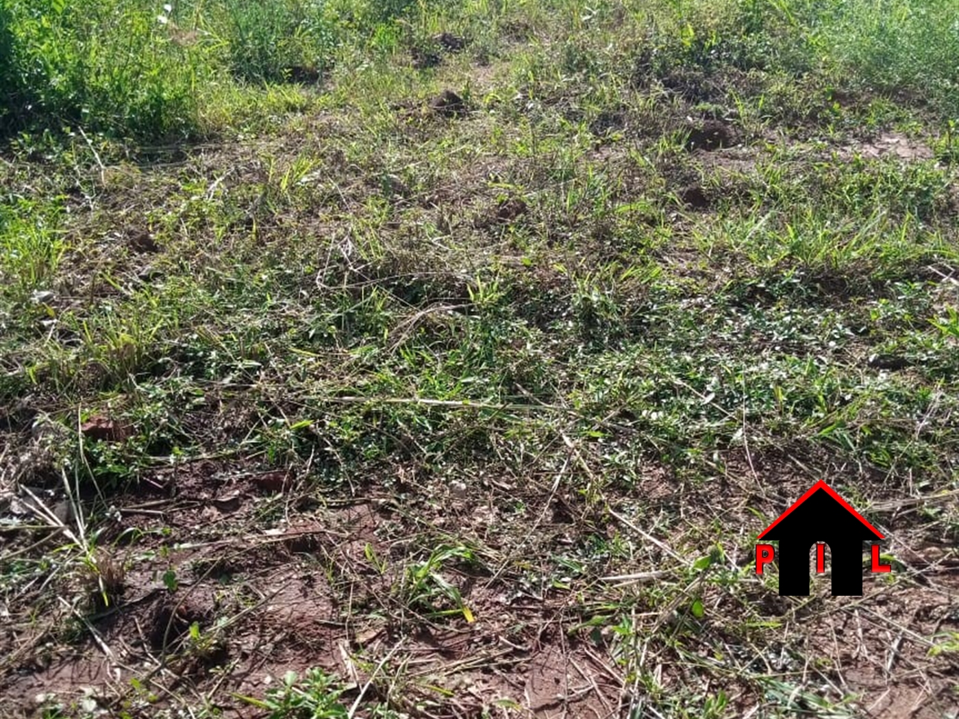 Residential Land for sale in Namugongo Wakiso