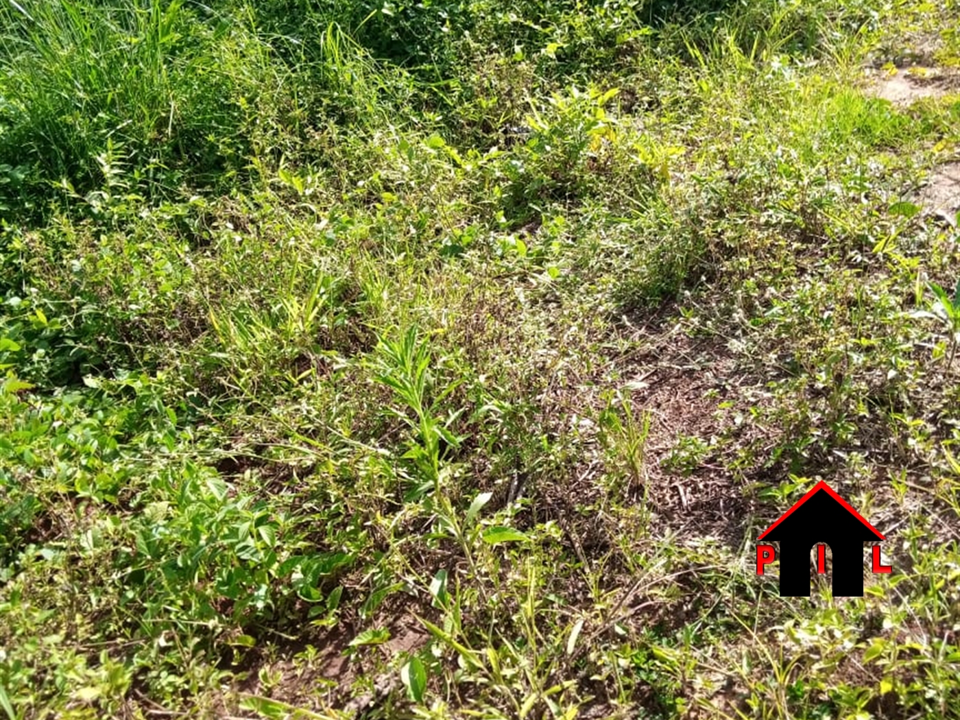 Residential Land for sale in Kiwologoma Wakiso