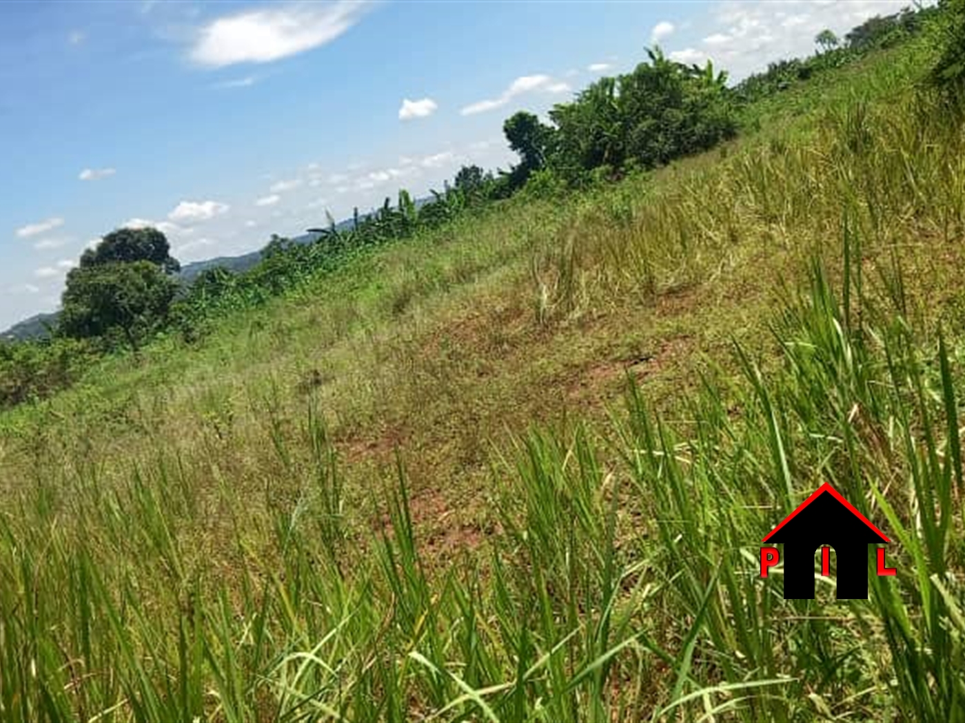 Agricultural Land for sale in Kalagala Luweero