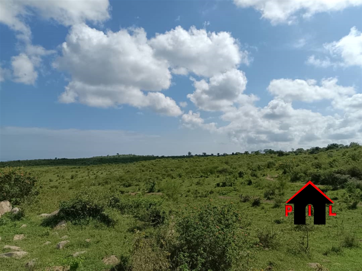 Agricultural Land for sale in Bugambe Hoima