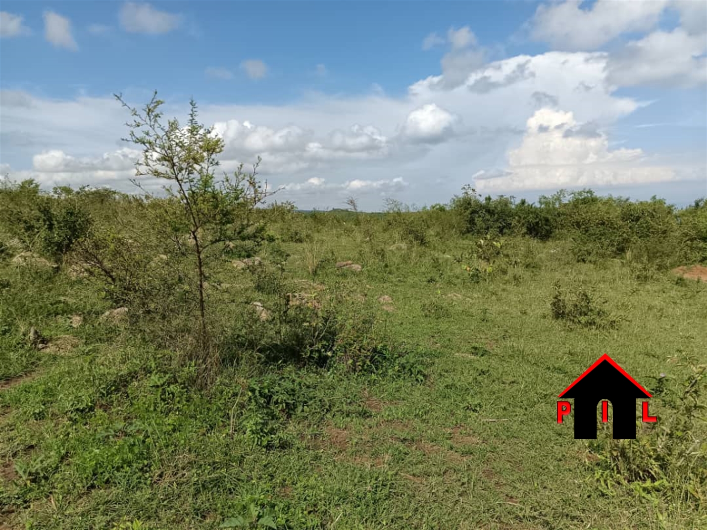 Agricultural Land for sale in Bugambe Hoima