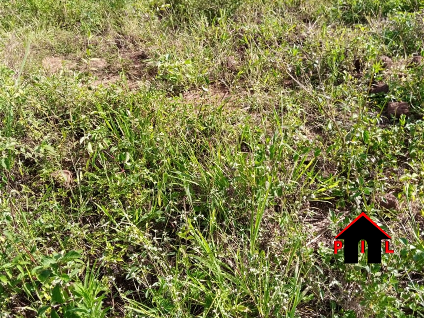 Residential Land for sale in Bwebajja Wakiso