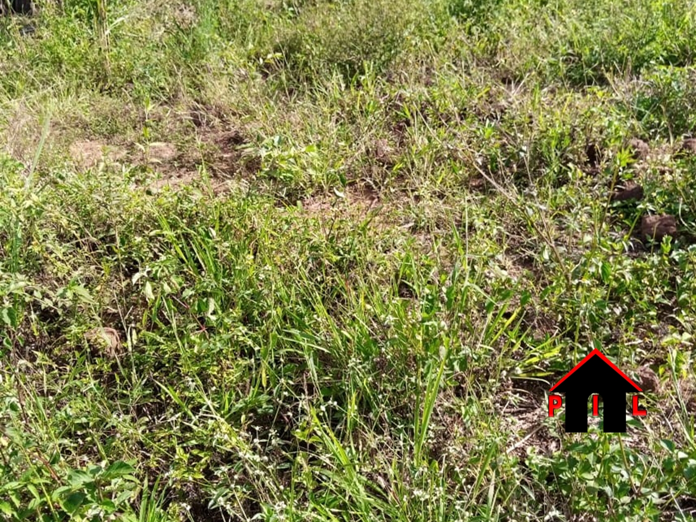 Residential Land for sale in Bwebajja Wakiso