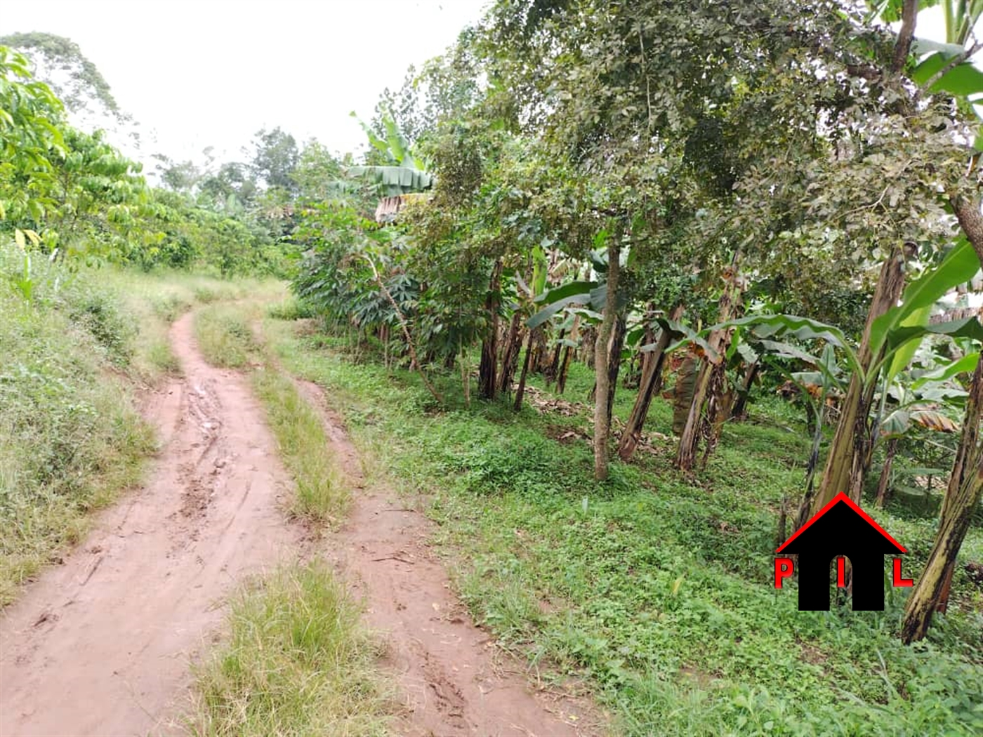 Commercial Land for sale in Matugga Wakiso