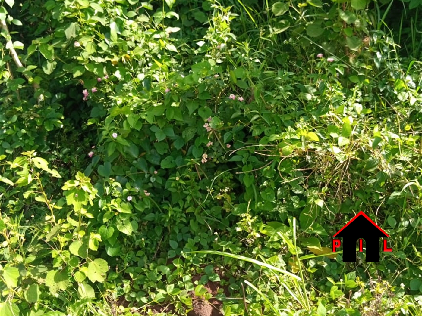 Residential Land for sale in Janda Wakiso