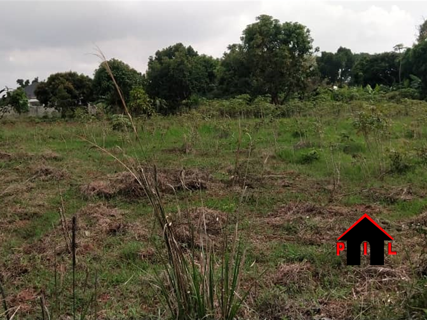 Residential Land for sale in Nkumba Wakiso