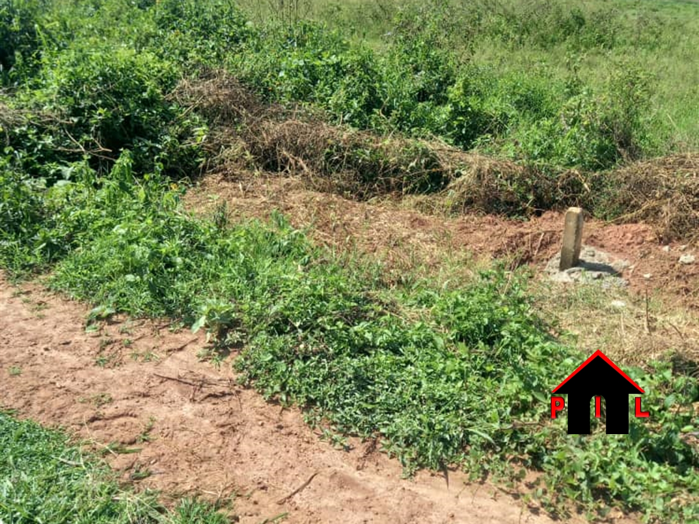 Commercial Land for sale in Lokabar Agago