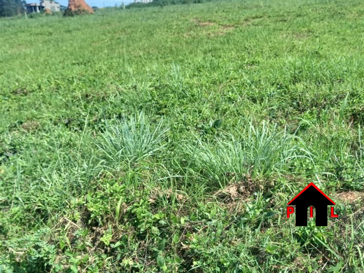 Commercial Land for sale in Bugwa Bulambuli