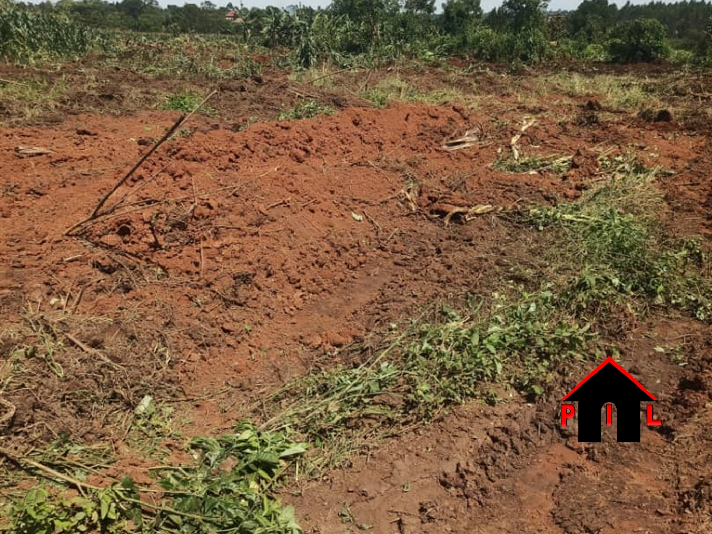 Commercial Land for sale in Bikonzi Masindi