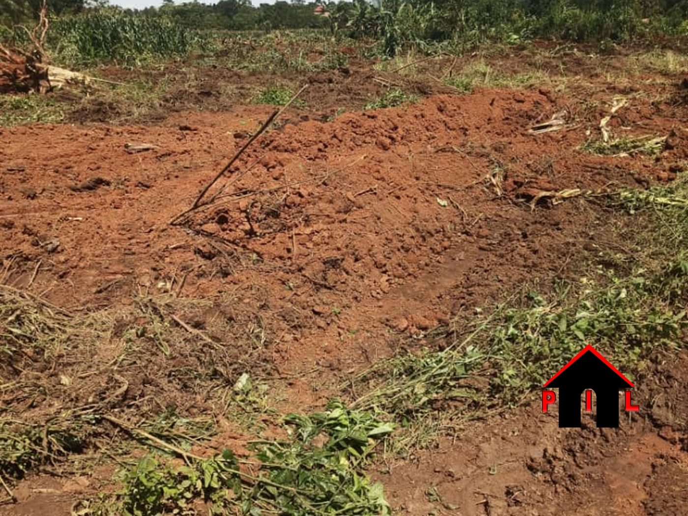 Commercial Land for sale in Buta Kasanda